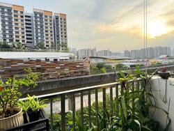 Blk 336C Anchorvale Cove (Sengkang), HDB 5 Rooms #555614651